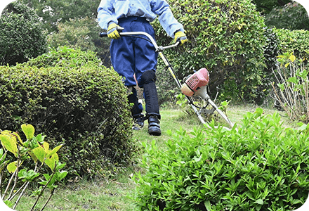 草刈りのイメージ