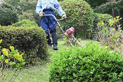 草刈り・草むしり
